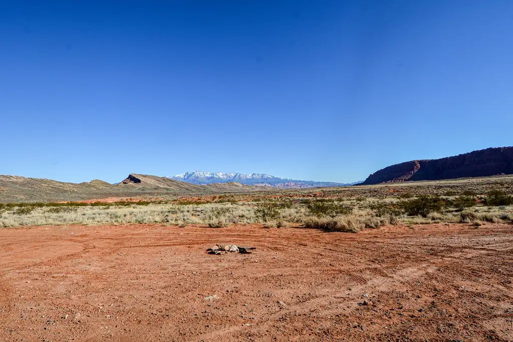 Established dispersed campsite on red dirt with a stone fire ring, desert mesas, and snow-capped mountains in the distance.