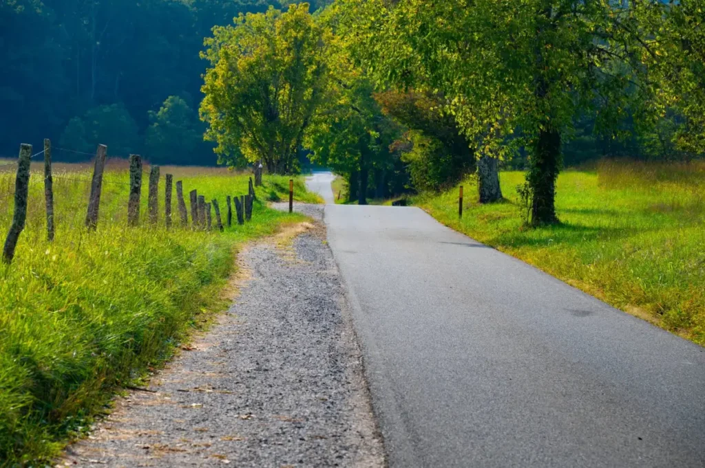A narrow one-lane paved road bordered by a split-rail fence at Cades Cove