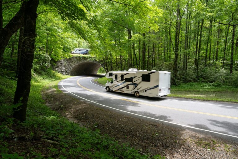 Motorhome driving on a winding road through a green forest