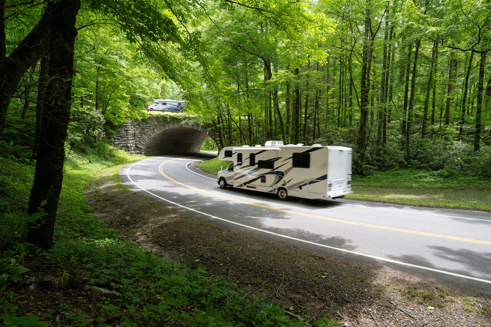 Motorhome driving on a winding road through a green forest
