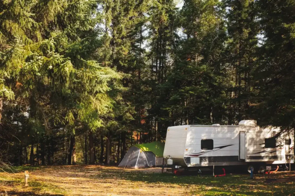 A travel trailer and a tent share a wooded campsite under tall pines